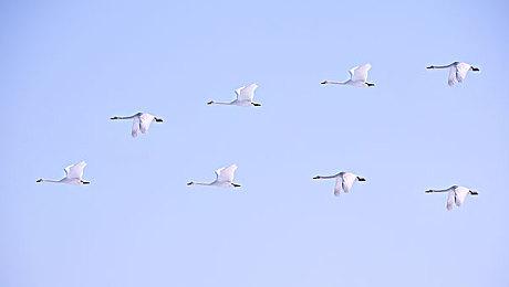 经典RPG游戏《露娜 银河之星 复刻合集》Steam页面上线 不支持中文